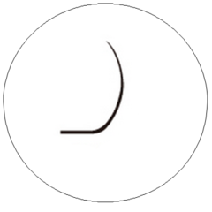 L-Lashes