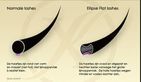 ellipse-lashes