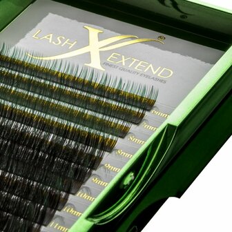 Lash eXtend Ombre Lashes Green/Black