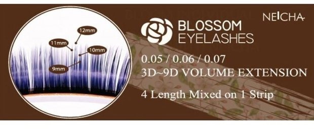 blossem lashes