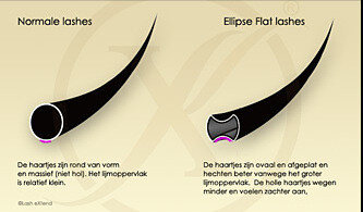 ellipse-lashes