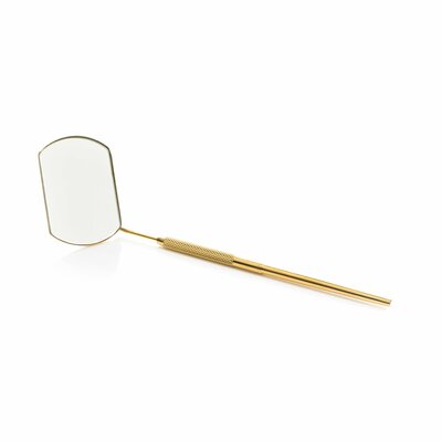 Lash Mirror