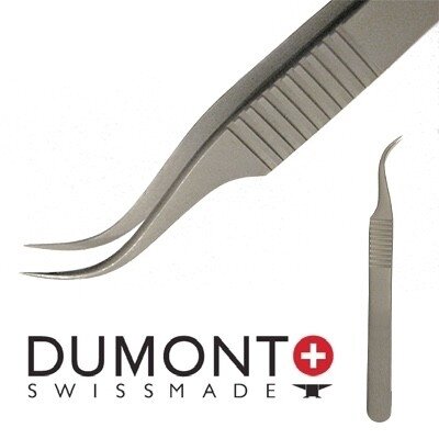 Dumont Volume tweezers (7SP)